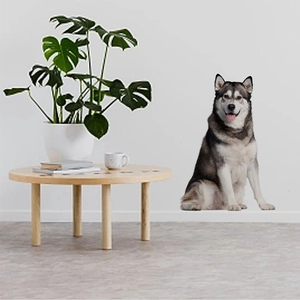 Cartoon Alaskan Malamute wall sticker for living room and bedroom home wall decoration