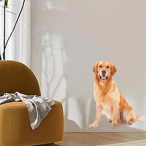 Realistic 3D golden retriever wall sticker for living room home decor application