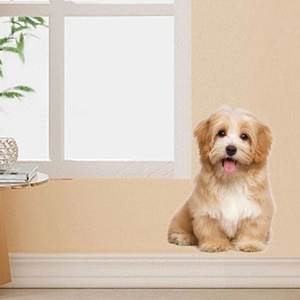 3D realistic puppy wall sticker featuring a cute fluffy dog for home room decoration
