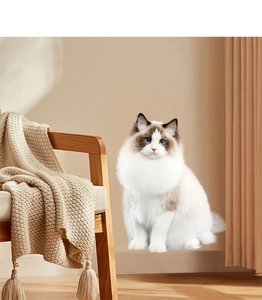 Détail d'un autocollant mural chat ragdoll aux yeux bleus dans un décor de chambre