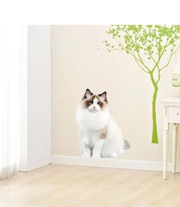 Détail du sticker mural chat Ragdoll auto-adhésif sur un mur blanc dans un salon moderne