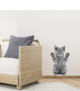 Détail de l'autocollant mural chat British Shorthair mignon aux yeux bleus dans un salon
