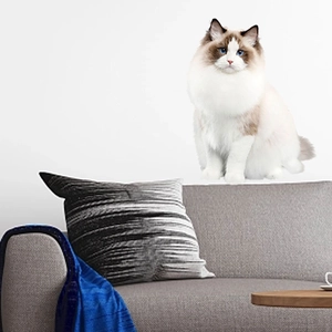 Stickers Muraux Chat Mignon Réaliste 3D Amovible PVC Autocollant Ragdoll British Shorthair Kitty Décalcomanies Pour Salon Chambre Nursery Décoration Maison