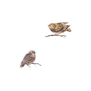 Artistic hand-painted bird earrings featuring brown and grey feathers on branch