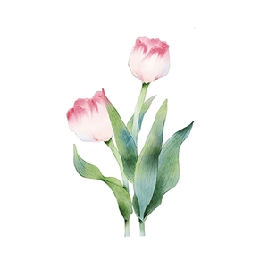 Watercolor pink tulip wall stickers for living room floral home decoration on white background