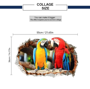 3D wall sticker detailing two vibrant macaws with 55x36cm dimensions for wall decor