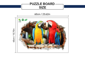 Detailed dimension layout for 3D macaw wall sticker measuring 60cm by 40cm on white backdrop
