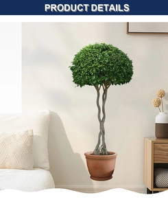 Détail de plante artificielle avec tronc en spirale double et pot en terre cuite