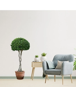 Détail d'une plante artificielle en pot avec un tronc tressé en spirale et un sommet rond