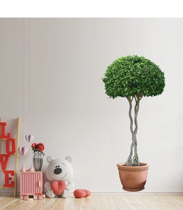 Détail d'autocollant mural plante verte avec tronc tressé et feuillage luxuriant