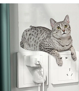 Detail view of a 3D realistic tabby cat wall sticker applied above a power socket
