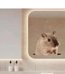 Close-up of a 3D self-adhesive hamster wall sticker popping out from a black hole decoration