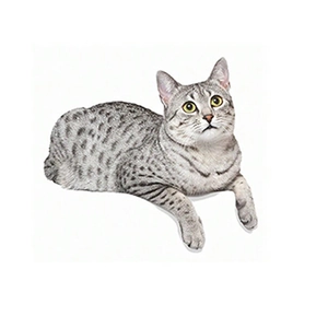 Cute cartoon spotted grey cat wall sticker for light switch home decoration