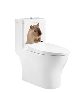 Detail view of 3D creative hamster wall sticker appearing from a white toilet tank