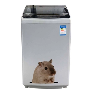 Creative 3D hamster wall sticker for washing machine and home appliance decoration