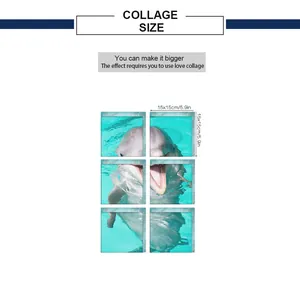 Size chart for 6-piece dolphin 3D bathtub stickers showing 15x15cm units for wall decor