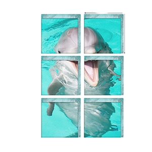 3D waterproof dolphin bathtub wall stickers set featuring ocean themed blue aquatic decals