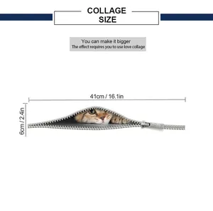 Size chart showing 41cm length dimensions for cat wall sticker collage