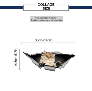 3D funny orange cat wall sticker dimension chart showing sizes 36cm by 14.5cm for cars