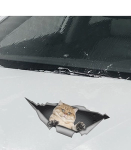 Detail of 3D orange cat wall sticker with crack effect on white car surface
