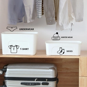 White frosted storage boxes for wardrobe organization with category text labels