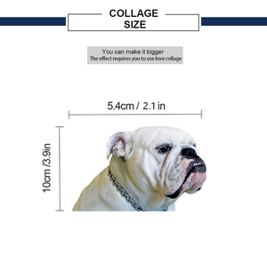 Detailed dimensions of English Bulldog car sticker with 5.4cm width and 10cm height