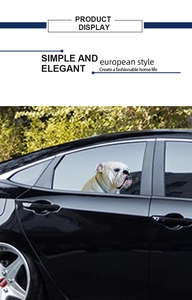Detailed realistic English Bulldog car window sticker showing dog wrinkles and fur texture