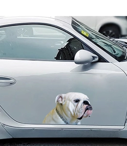Detailed realistic English Bulldog car decal sticker on silver metallic car door panel