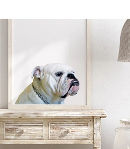 Modern white English Bulldog wall art poster on a vintage white wooden cabinet