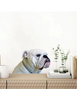 Detailed 3D bulldog wall decal with silver chain on white wall in modern home decor