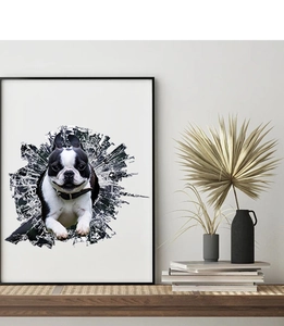3D effect Boston Terrier dog wall sticker breaking through a frame on a white wall