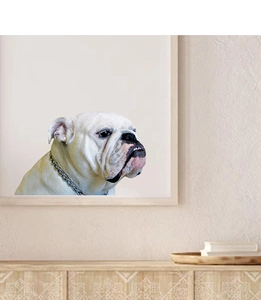 Framed wall art showing a French Bulldog with a gold chain in a modern living room