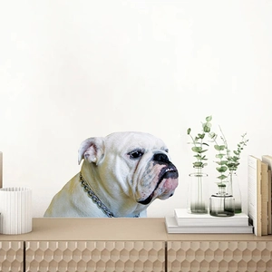Modern 3D English Bulldog wall decal for home decor and car windows, removable PVC sticker