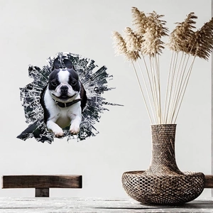 3D realistic Boston Terrier wall sticker with broken glass effect for modern home decor