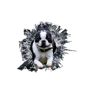 Creative 3D Boston Terrier car sticker with cracked glass effect for wall or window decoration