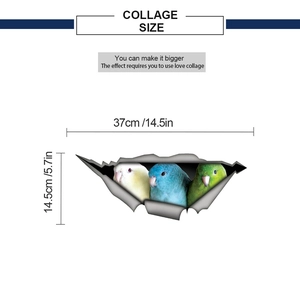 Detailed size chart showing 3D parrot wall stickers with precise measurements in cm and inch