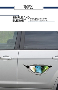 3D realistic torn metal hole sticker featuring colorful birds on silver car door