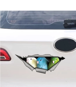 Detail of 3D cracked metal hole car sticker featuring three colorful cartoon birds