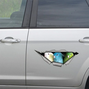 3D Parrot Car Sticker Creative Animal Wall Decals Removable PVC Waterproof Bird Peeking Hole Sticker For Home Decor