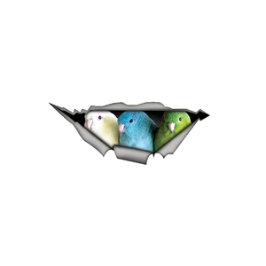 Realistic 3D parrot car stickers featuring three colorful birds with broken wall effect