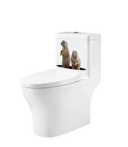 3D cartoon marmots sticker on white ceramic toilet tank for cute bathroom decor