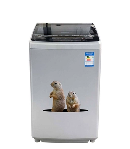 Detail view of 3D groundhog stickers applied on a washing machine surface for home decoration