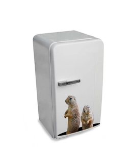 3D photorealistic marmot wall stickers applied on a white vintage mini fridge