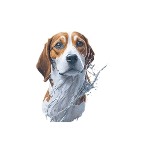 Sticker mural Beagle pour toilettes avec effet d'éclaboussures de liquide artistique