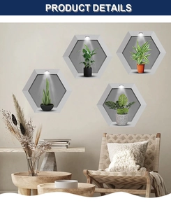 Detail of four hexagonal 3D wall stickers featuring realistic green potted plant designs