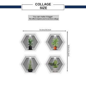 Detail showing dimensions of 4-piece hexagonal 3D plant wall stickers in a set