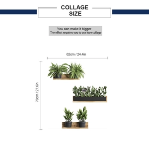 Detail of three-piece green plant wall stickers with collage size dimensions shown