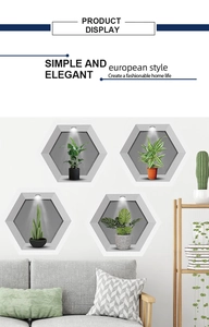 Detail of 3D hexagonal wall stickers featuring potted plants for living room decor