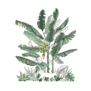 Tropical banana tree wall stickers with green leaves and a white cat for home decor