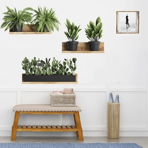 Floating wooden shelves set with various green potted plants for wall decor